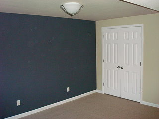 Professional Painting Contractor MN
