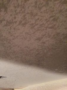 Popcorn Texture Removal MN