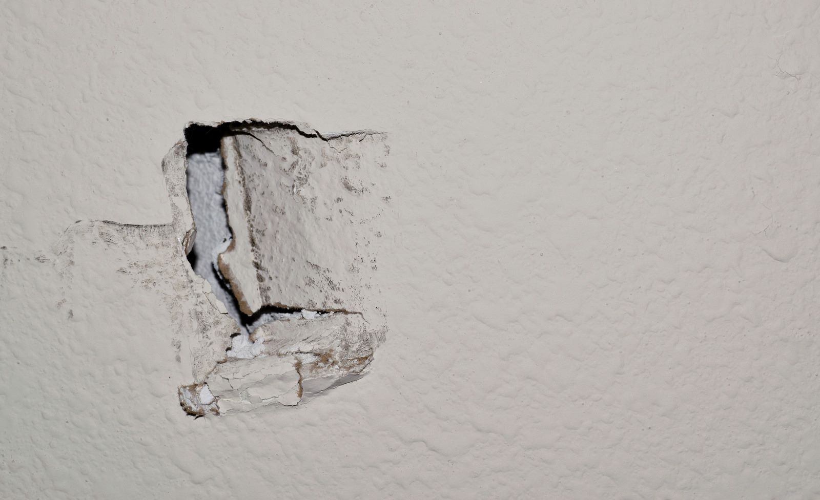 Damaged Drywall Repair in Eden Prairie