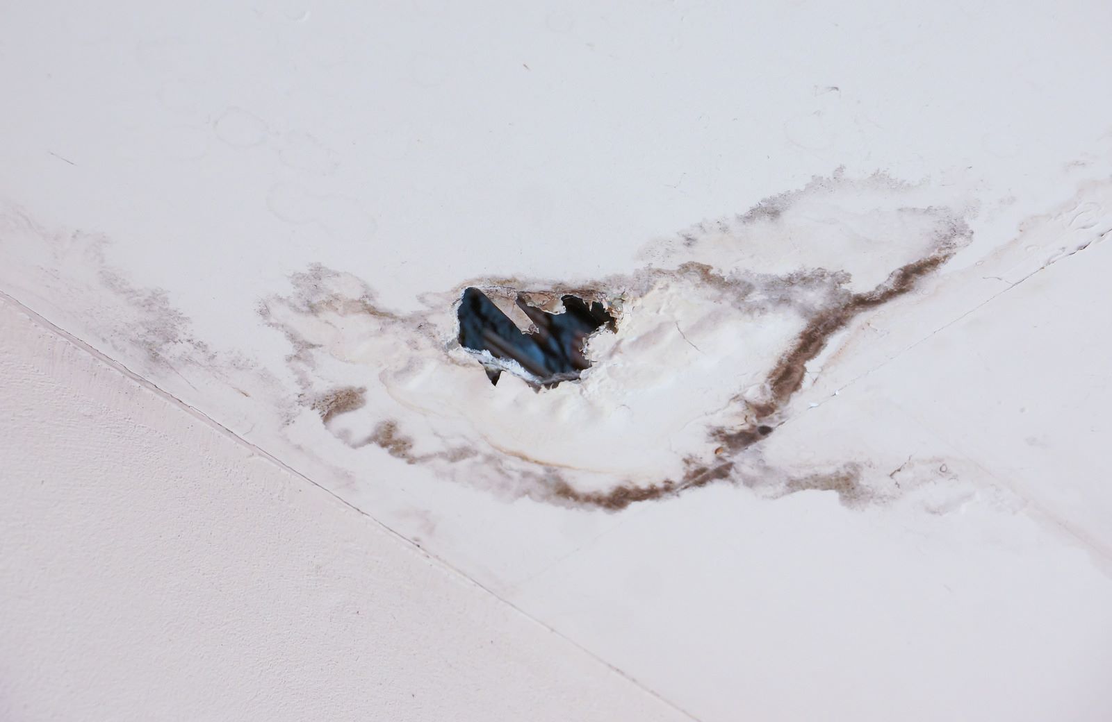 Say Goodbye to Damaged Walls with Drywall Repair Services in Lakeland, MN